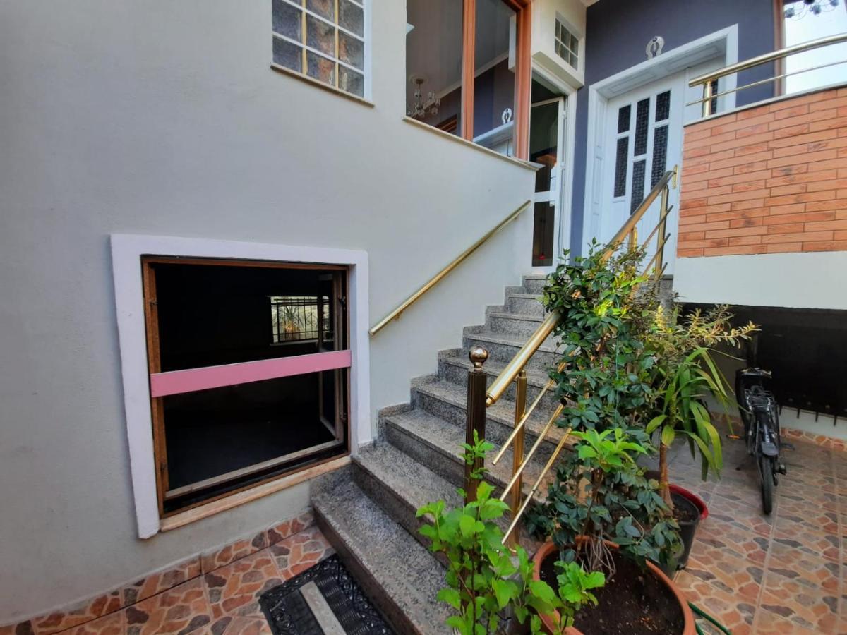 Villa 53 Tirana Eksteriør billede